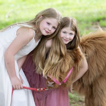 DK Photography - Now booking!!! - Session Photography Near Me DK Photography - Now booking!!! - Session Photography Near Me