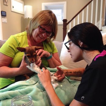 Monarch Vet Tech Services - Bandage removals done in your home! - Pet Groomers Near Me - Toronto, Ontario Monarch Vet Tech Services - Bandage removals done in your home! - Pet Groomers Near Me - Toronto, Ontario