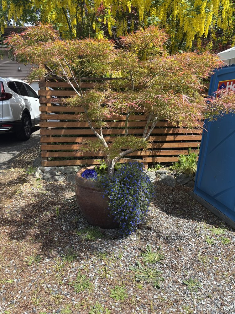 Eden's Gardens - tree service in Shoreline, WA