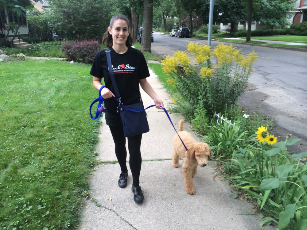 Rock Star Dog Walking & Pet Sitting - pet boarding facility in Minneapolis, MN
