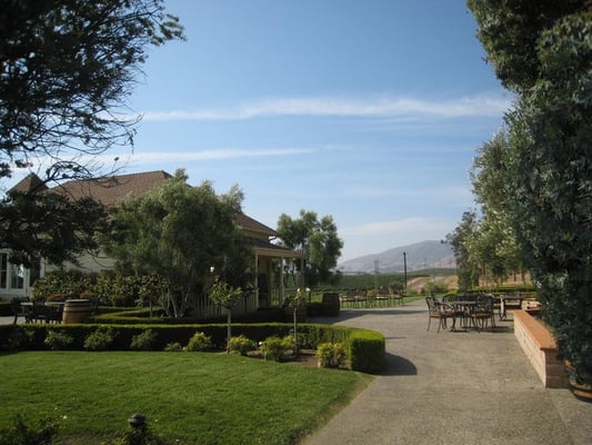 Edna Valley Vineyard by null