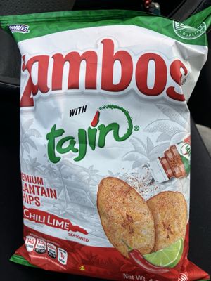 The Venice Fest by null