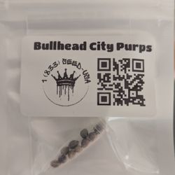 Bullhead Hydro - Cannabis seeds for sale
