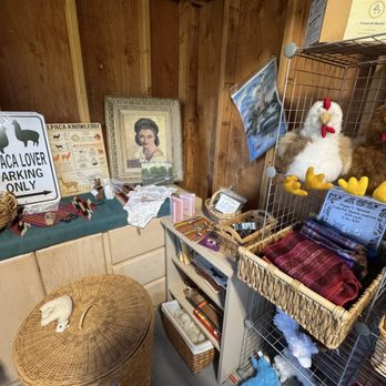 Loomis Alpacas - Attraction Farms Near Me - Loomis, California Loomis Alpacas - Attraction Farms Near Me - Loomis, California