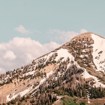 Forum Health Orem Functional Medicine Doctor - Naturopathic/Holistic Near Me - Orem, Utah Forum Health Orem Functional Medicine Doctor - Naturopathic/Holistic Near Me - Orem, Utah