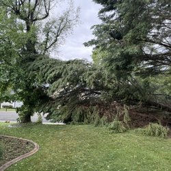 J&A landscaping and Tree Trimming