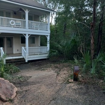 A Limb to Trim - Tree Services Near Me