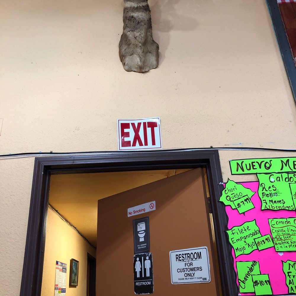 Taxidermy? Taxidermy?