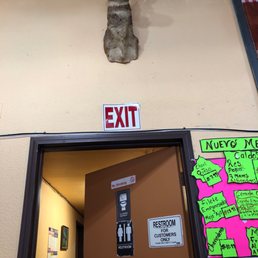 Taxidermy? Taxidermy?