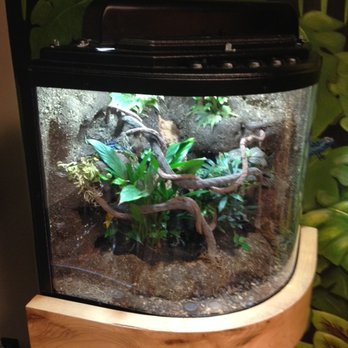 Howell R Bruce Pediatric Dentist - Special Terrarium to help children relax and gain affinity for the office - Pediatric Dentists Near Me - Orem, Utah
