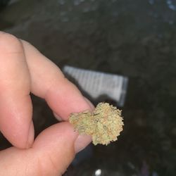 CannaKing Collective