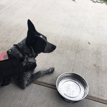 Crepe Crazy - They were so kind! They randomly brought my dog a bowl of water! - Creperies Near Me - Dripping Springs, Texas Crepe Crazy - They were so kind! They randomly brought my dog a bowl of water! - Creperies Near Me - Dripping Springs, Texas