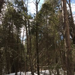 Ganaraska Forest Centre - Gorgeous