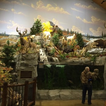 Cabela's - Inside waterfall! - Guns & Ammo Near Me - Noblesville, Indiana Cabela's - Inside waterfall! - Guns & Ammo Near Me - Noblesville, Indiana