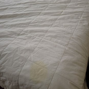 Comfort Inn East - Coffee stains (I hope) on the replacement comforter - Hotels Near Me - Evansville, Indiana