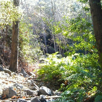 Holy Jim Falls Trail - Paradise can be found on the Holy Jim Falls trail - Hiking Near Me - Trabuco Canyon, California