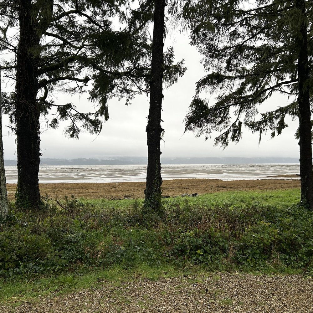 Willapa Bay Heritage Farm - Cheese Shops Near Me - Long Beach, Washington Willapa Bay Heritage Farm - Cheese Shops Near Me - Long Beach, Washington