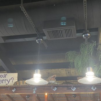 Huckleberry’s - Inside - American Near Me - Clovis, California Huckleberry’s - Inside - American Near Me - Clovis, California