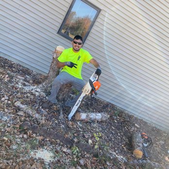 Making The Cut - Tree trim - Tree Services Near Me