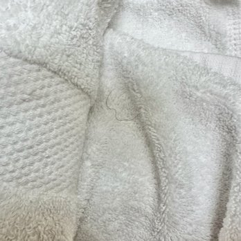 Seaside Vacations - Everyone in my family has blonde hair. This was found rolled into a "clean" towel. - Vacation Rentals Near Me - Chincoteague, Virginia Seaside Vacations - Everyone in my family has blonde hair. This was found rolled into a "clean" towel. - Vacation Rentals Near Me - Chincoteague, Virginia
