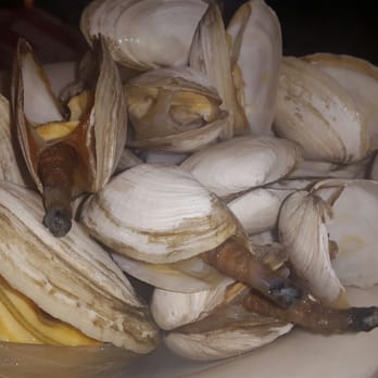 Randazzo's Clam Bar - Steamers - Seafood Near Me - Brooklyn, New York Randazzo's Clam Bar - Steamers - Seafood Near Me - Brooklyn, New York