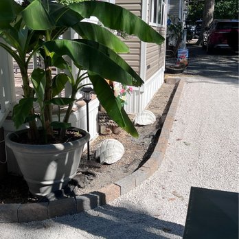 Perez Property Maintenance - a plant in a pot on the side of the house - Landscaping Near Me Perez Property Maintenance - a plant in a pot on the side of the house - Landscaping Near Me