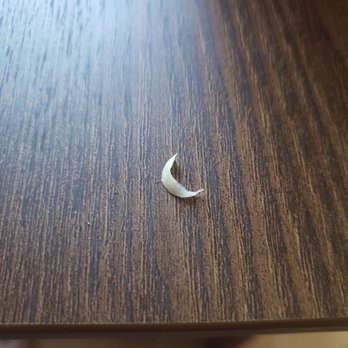 Mr Green Bubble - FINGERNAIL IN THE FOOD - Bubble Tea Near Me - West Menlo Park, California