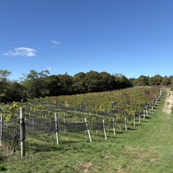 Truro Vineyards - Venues & Event Spaces Near Me - North Truro, Massachusetts Truro Vineyards - Venues & Event Spaces Near Me - North Truro, Massachusetts