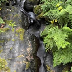 Samuel H Boardman State Scenic Corridor