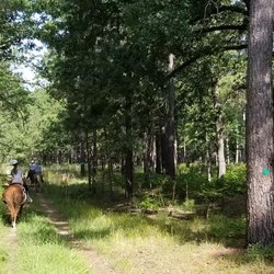 T Bar S Horse Camp