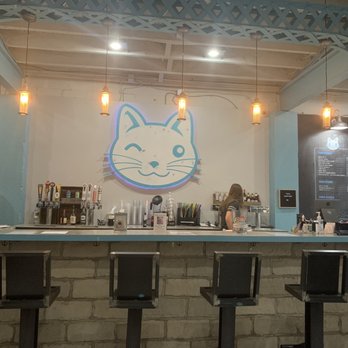 Purrfect Day Cat Cafe - Caffe portion of the venue - Pet Adoption Near Me - Covington, Kentucky Purrfect Day Cat Cafe - Caffe portion of the venue - Pet Adoption Near Me - Covington, Kentucky
