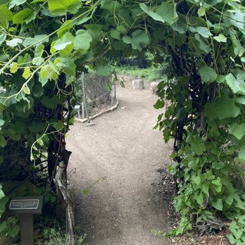 Santa Barbara Botanic Garden - Entrance to a maze - Botanical Gardens Near Me - Santa Barbara, California Santa Barbara Botanic Garden - Entrance to a maze - Botanical Gardens Near Me - Santa Barbara, California