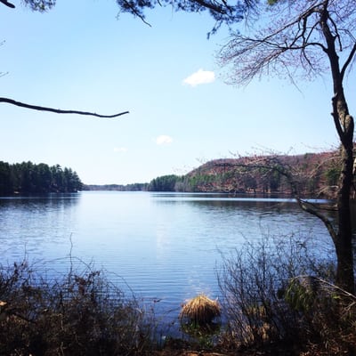 Wells State Park by null