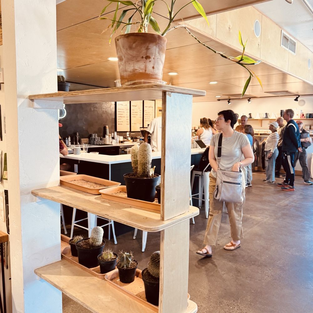 Little Bear Coffee - Coffee & Tea Near Me - Albuquerque, New Mexico