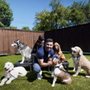 Photo of Starr Dog Behavior