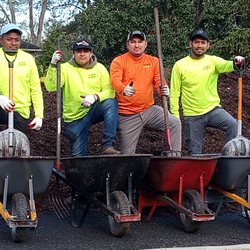 Carlo's Team Landscaping