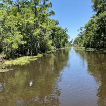 Airboat Adventures - Boat Tours Near Me - Lafitte, Louisiana