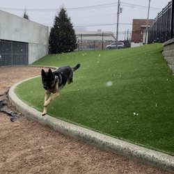 Cortona at Forest Park - Cortona dog park