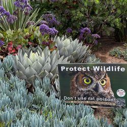 Rodent Professor - We focus on Protecting Homes and the Environment with safe, environmentally friendly rodent exclusion services.
