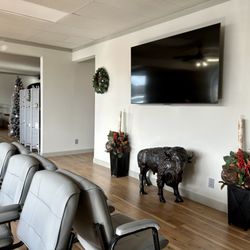 Nujoint Chiropractic and Regenerative Medicine - Waiting Room