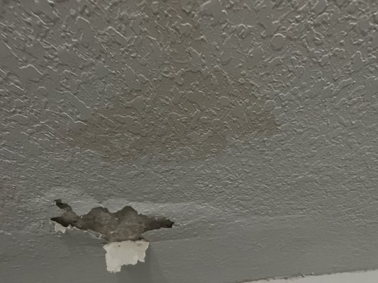 El Mago Roofing Logo