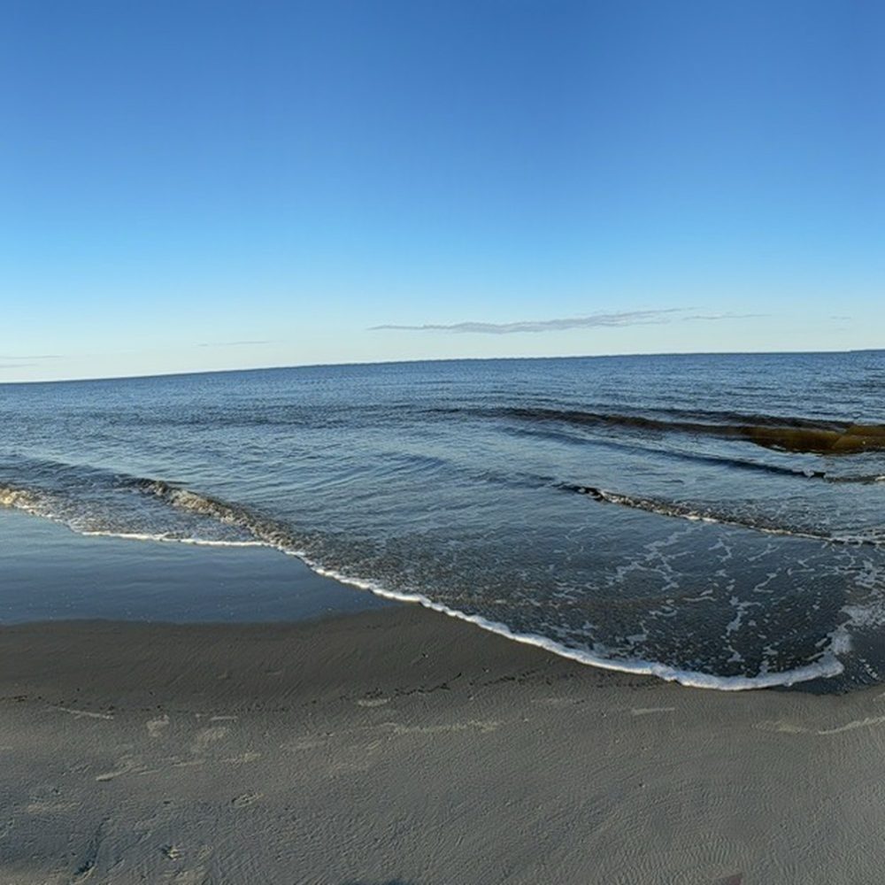 Jekyll Island - Parks Near Me - Jekyll Island, Georgia Jekyll Island - Parks Near Me - Jekyll Island, Georgia