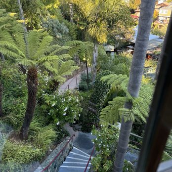 Shadowbrook - Gorgeous - American Near Me - Capitola, California