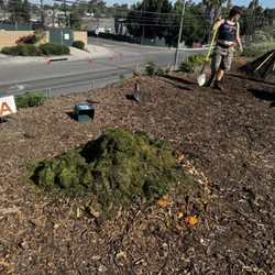 Long Beach Community Compost