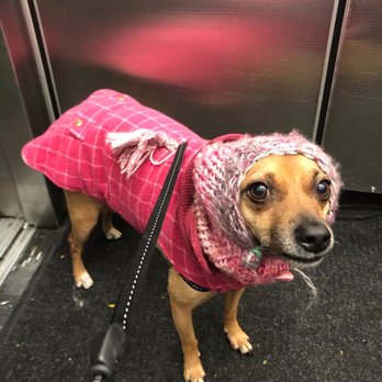 Pets on Broadway NYC - Pet Groomers Near Me - New York, New York