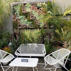 Dig Gardens - Plants