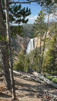 Artist Point by null