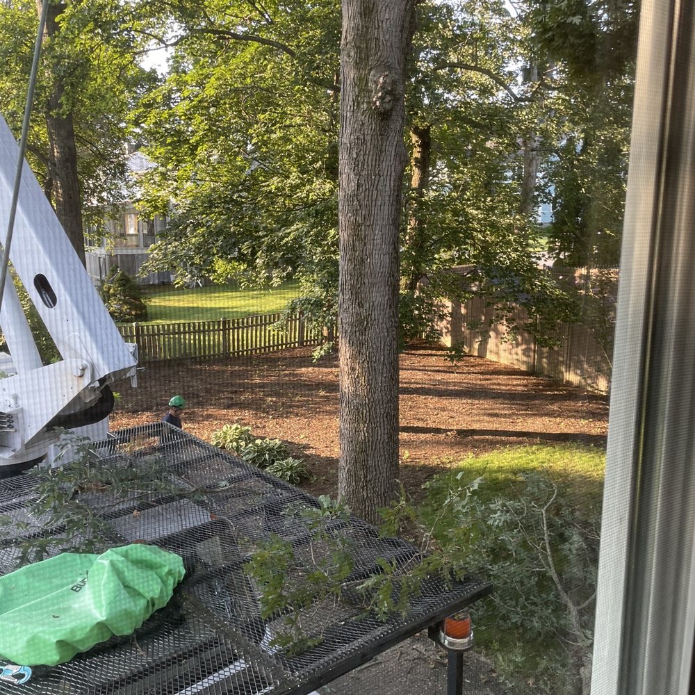 Medina Tree Services - a truck with a broken roof - Tree Services Near Me - Waltham, Massachusetts Medina Tree Services - a truck with a broken roof - Tree Services Near Me - Waltham, Massachusetts