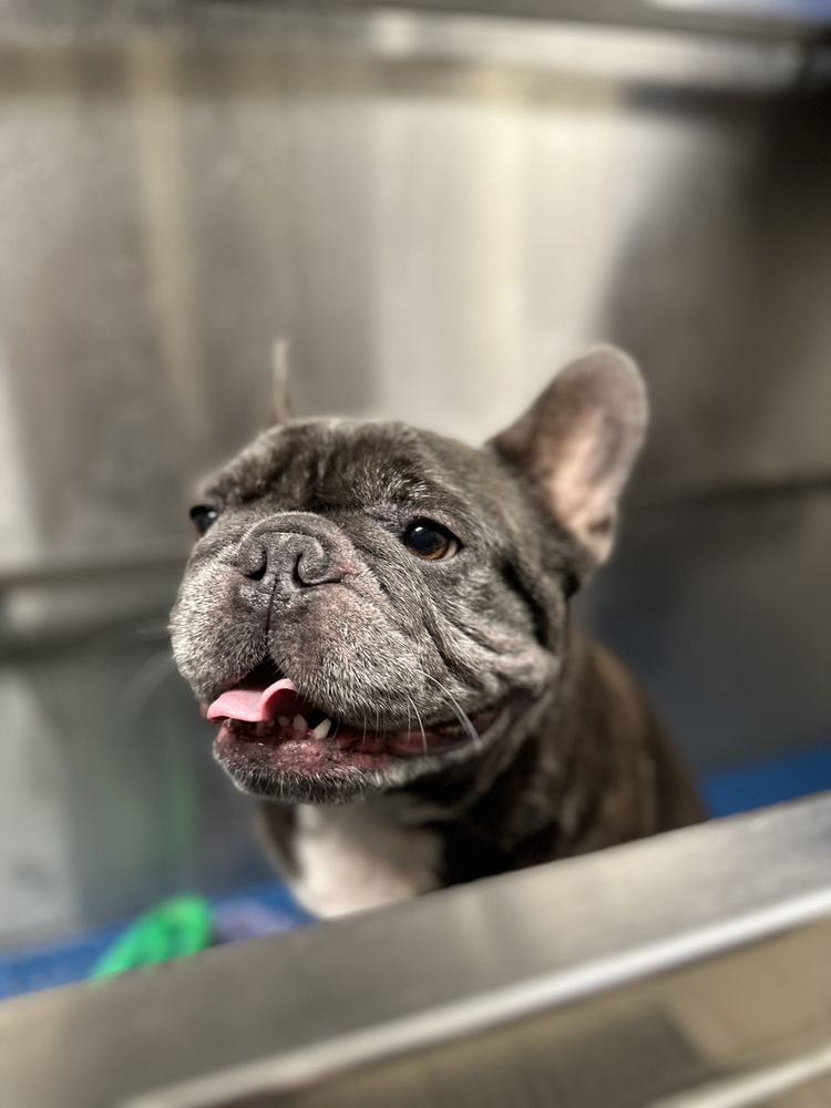 Healthy Spot - Hancock Park