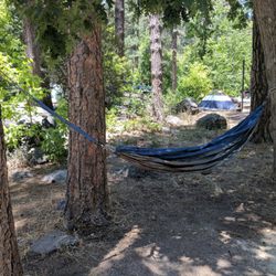 Pine Flat Campground